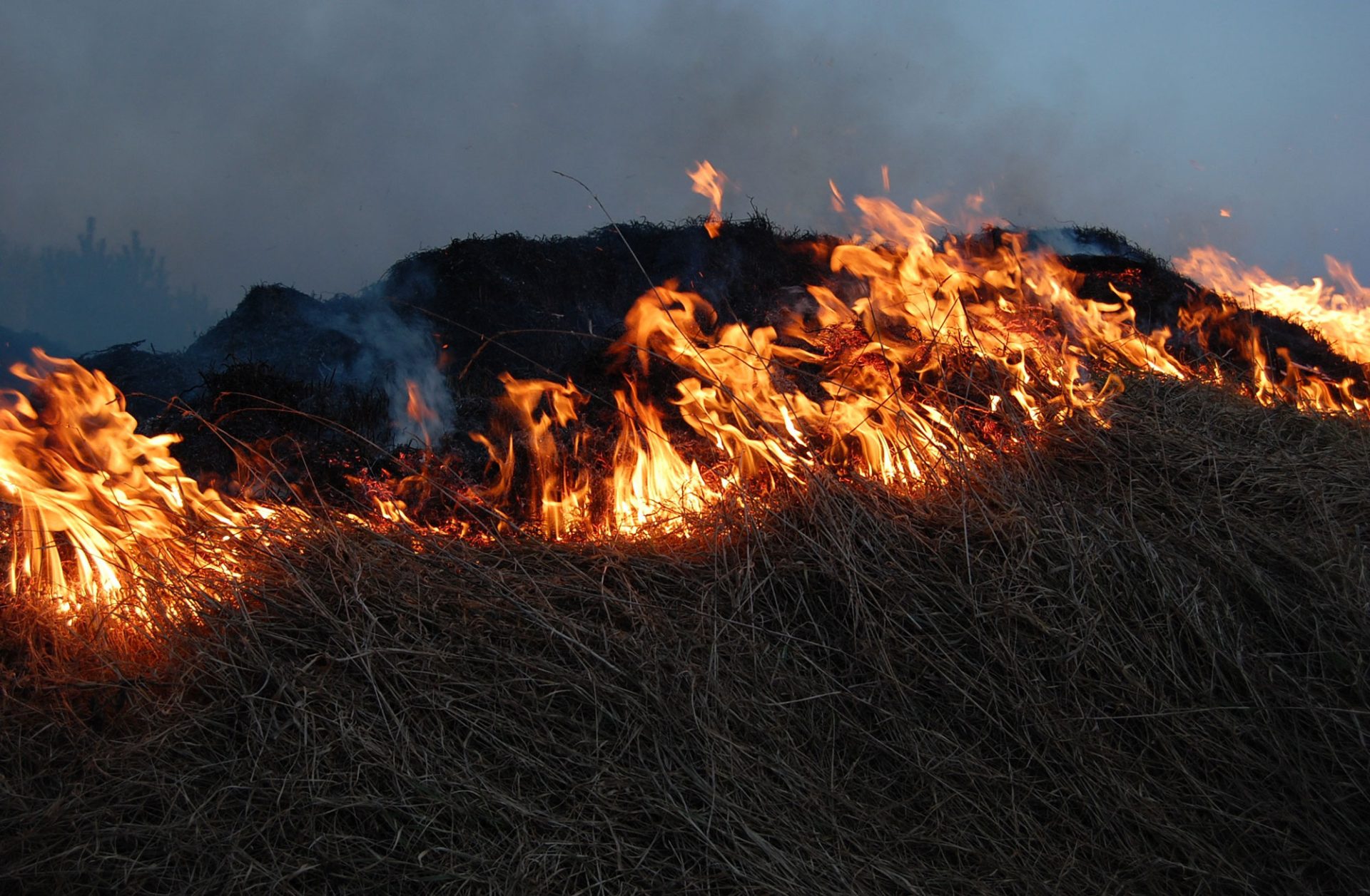 huebener versicherung feuer entzuendung